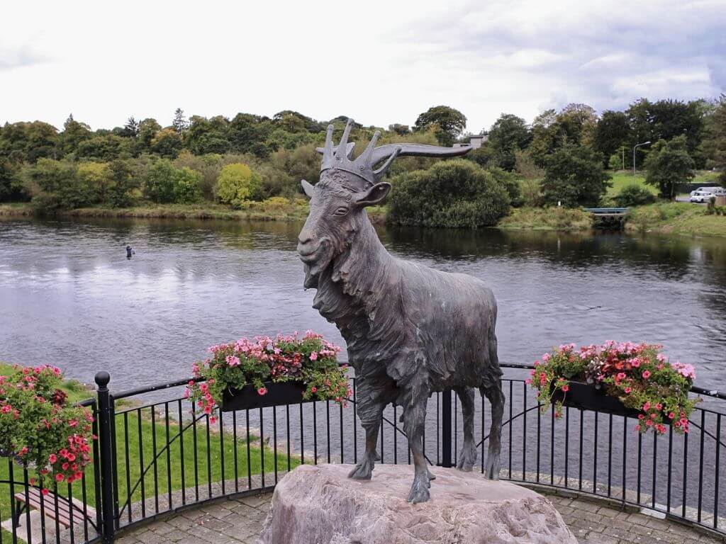 A picture of the puck or goat statue which is the centrepiece to the Killorglin Puck Fair in Ireland