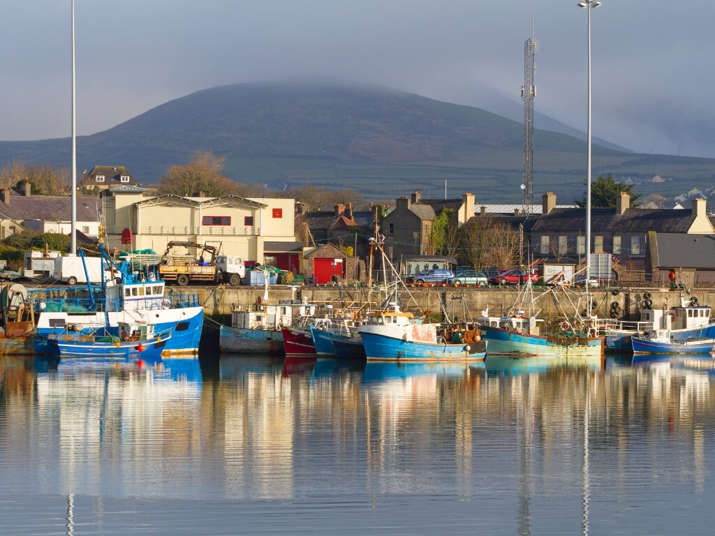 A picture of Dingle Harbour in County Kerry with boats moored along the quayside