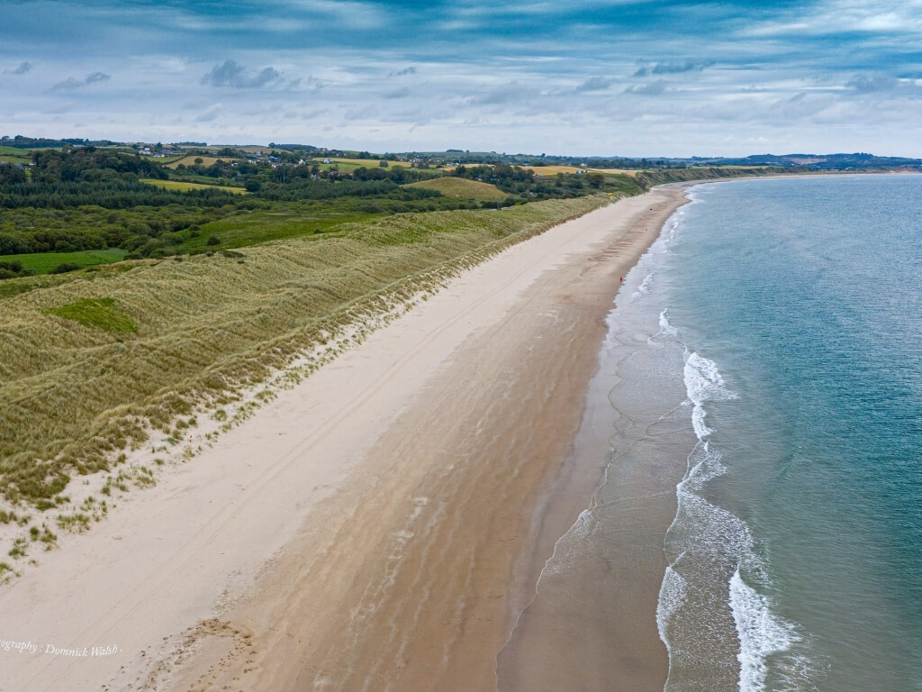 A picture of the long stretch of golden sand at Curracloe beach in Wexford with turquoise water on the right and green grass leading to the sand dunes on the left. A blue sky sits overhead