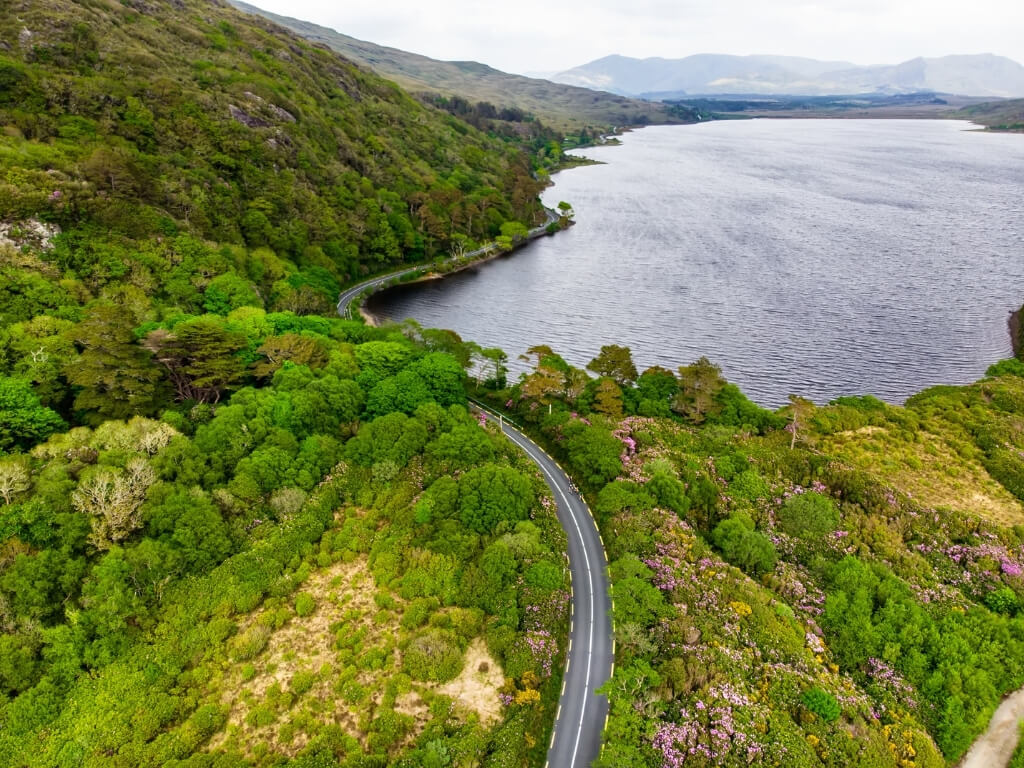 A picture of a road following a route along the edge of a lake in the Connemara National Park in Ireland, with lush green forests and hills around it.