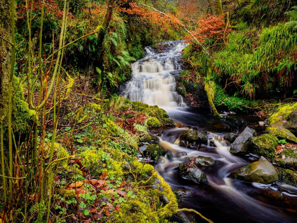 A picture of a waterfall in the Glenariff Forest Park in Antrim, Northern Ireland