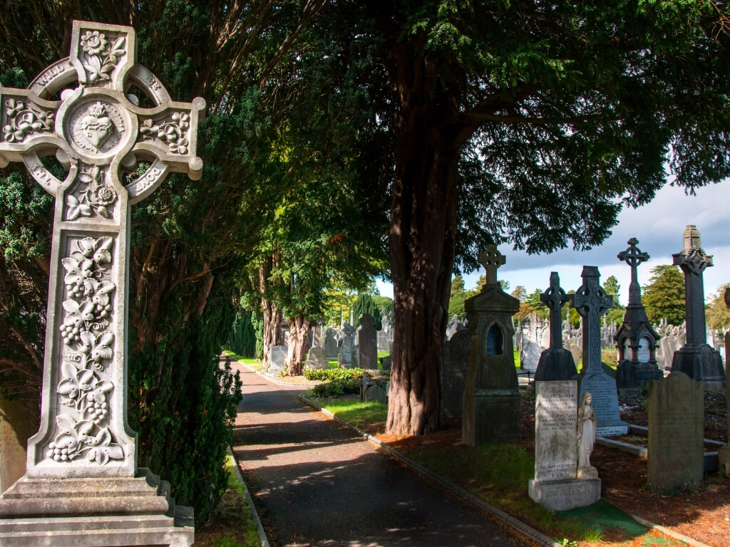 A picture of headstones in the Glasnevin cemetery in Dublin