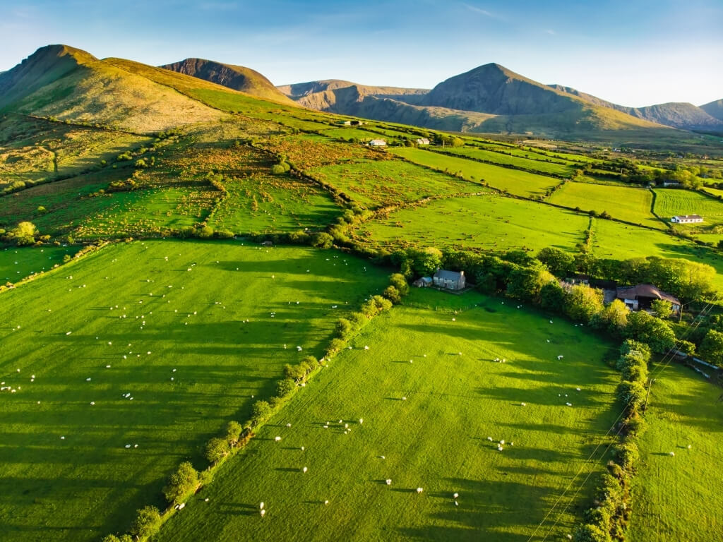 A picture of lush green fields in the countryside of Ireland with hills in the background