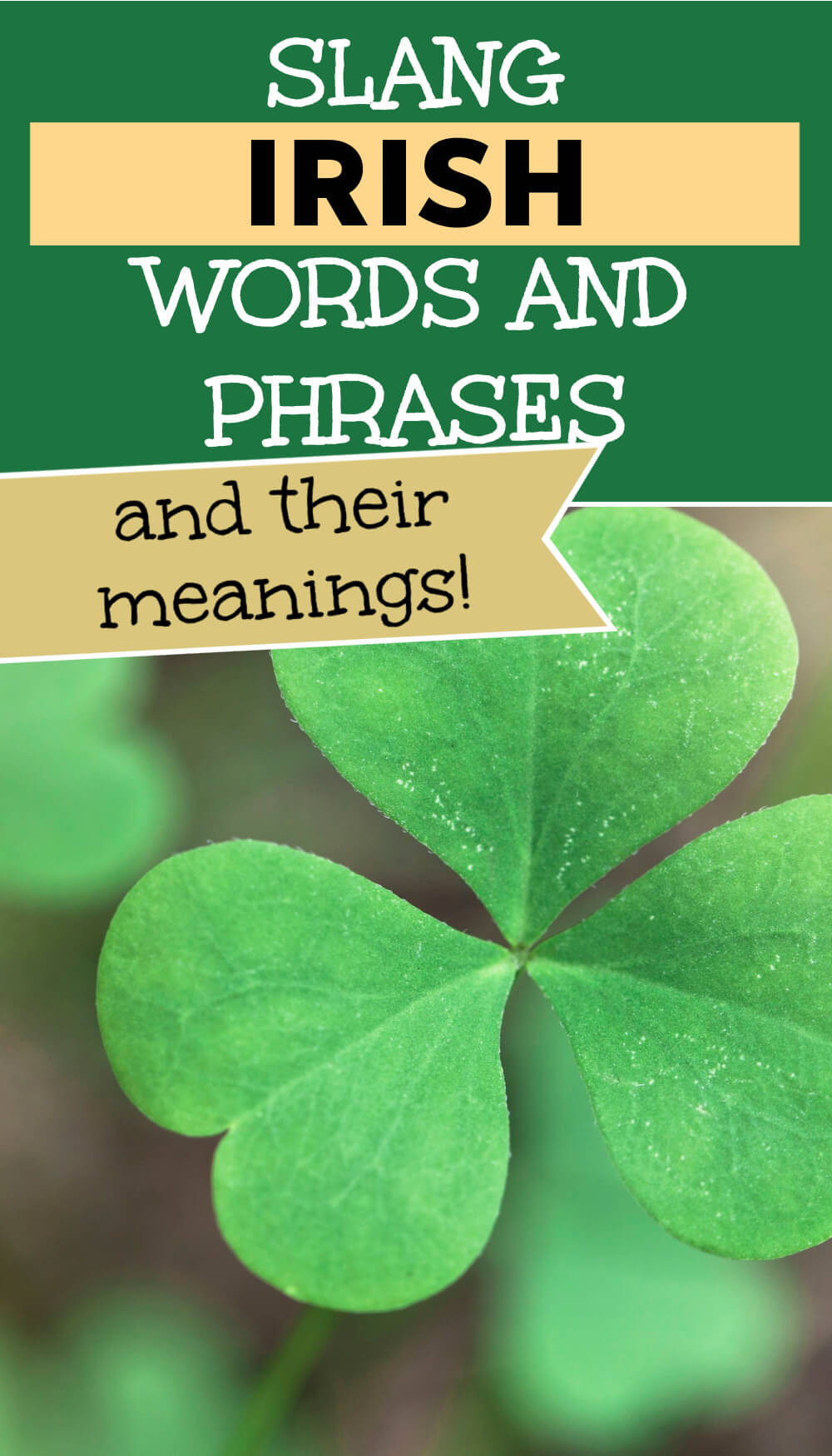 80+ Hilarious Irish Slang Words and Phrases and their Meanings