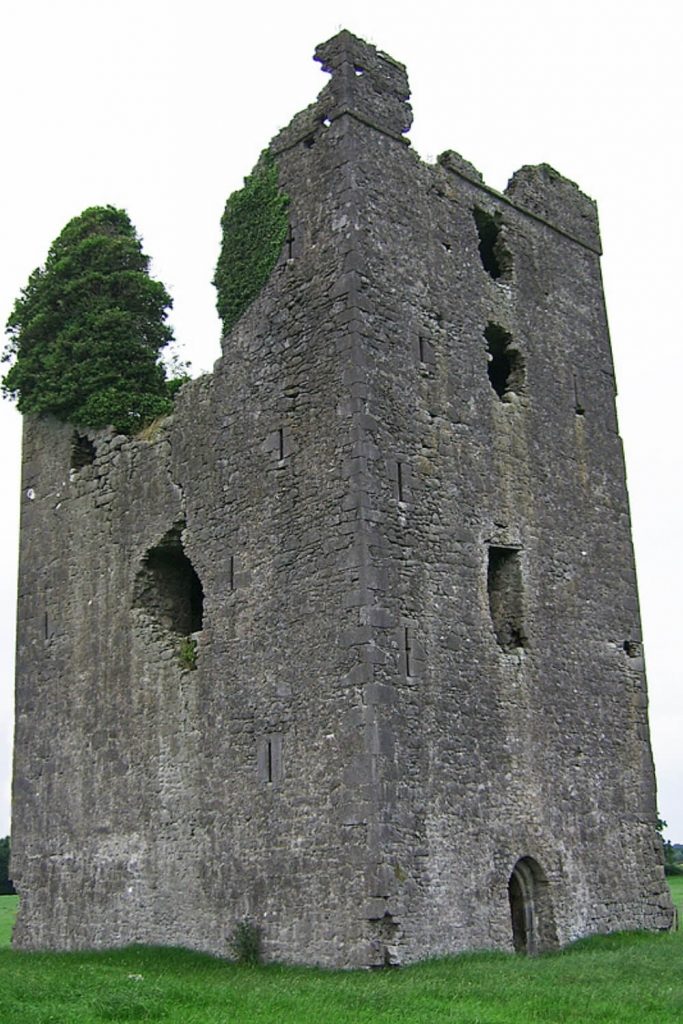 A picture of the ruined remains of Tinnakill Castle, Laois