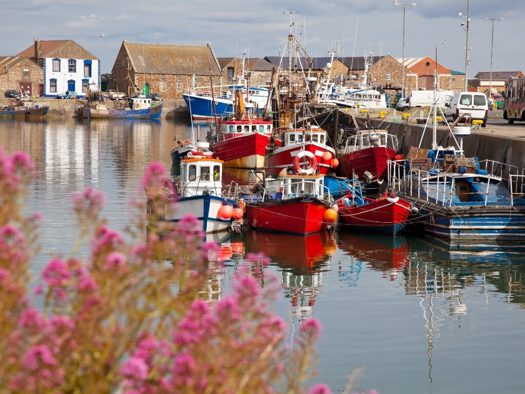 A picture of fishing boats in the harbour at Howth, County Dublin