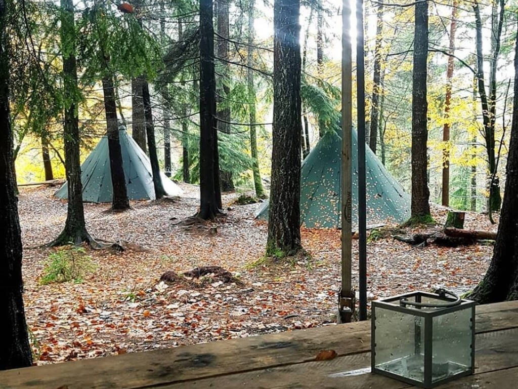 A picture of some of the teepees in the forest at Tipi Adventures Ireland