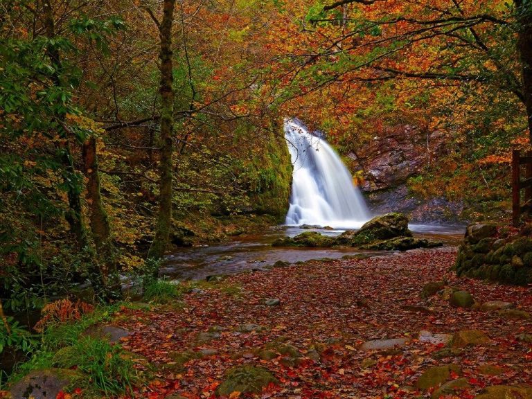 18 Best Waterfalls in Ireland: Where Nature Puts on a Show