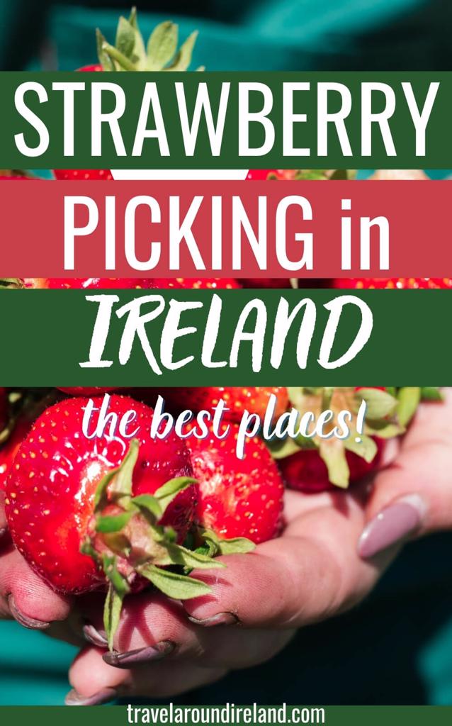 A picture of a lady's hands holding strawberries with text overlay saying "Strawberry Picking in Ireland"