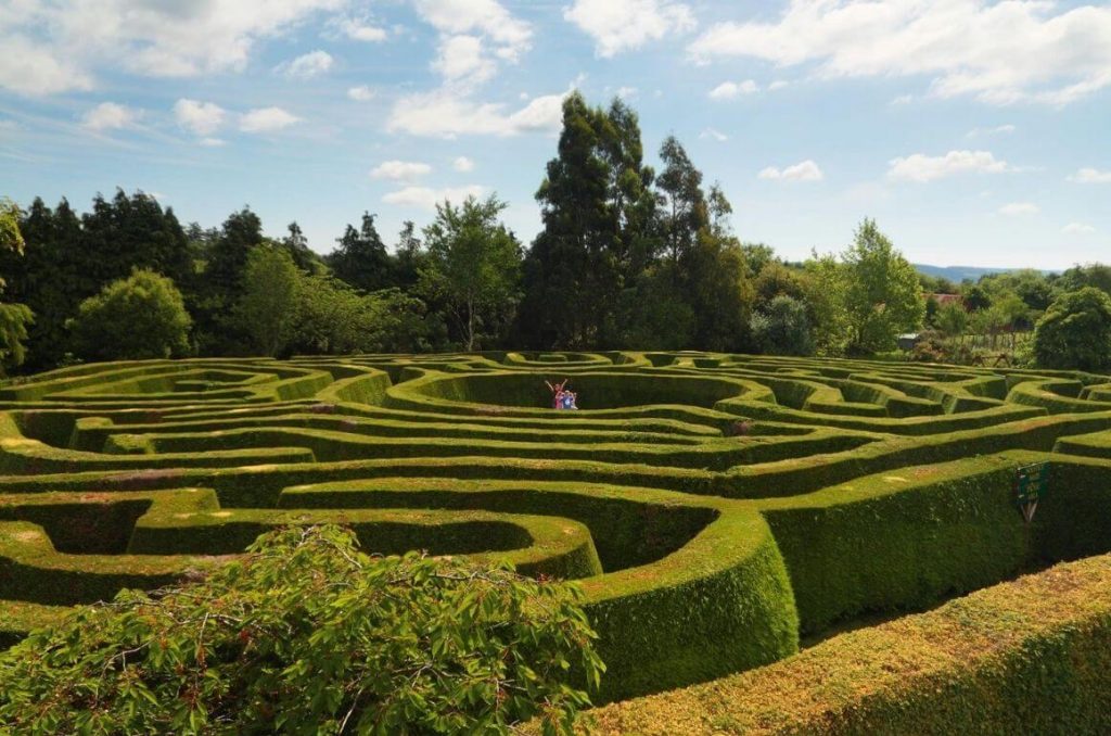 A picture of the Grennan Maze in Ireland with its lush green hedges and some people in the centre