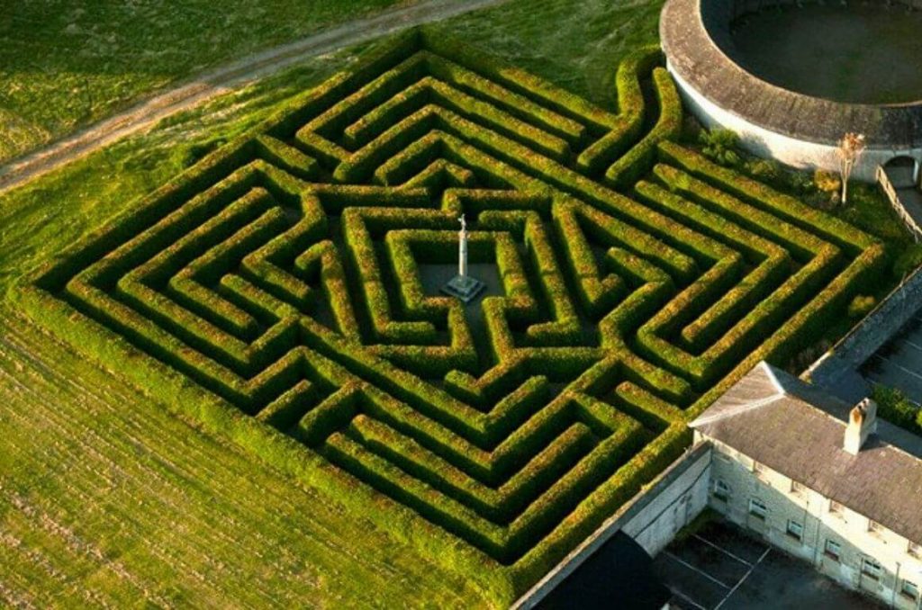 A picture of the hedge maze at Russborough House from above