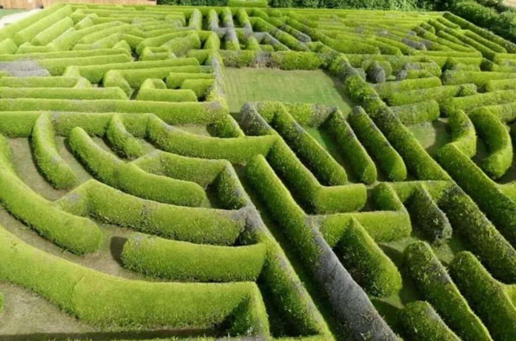 An aerial picture of the hedges at the Kildare Maze in Ireland