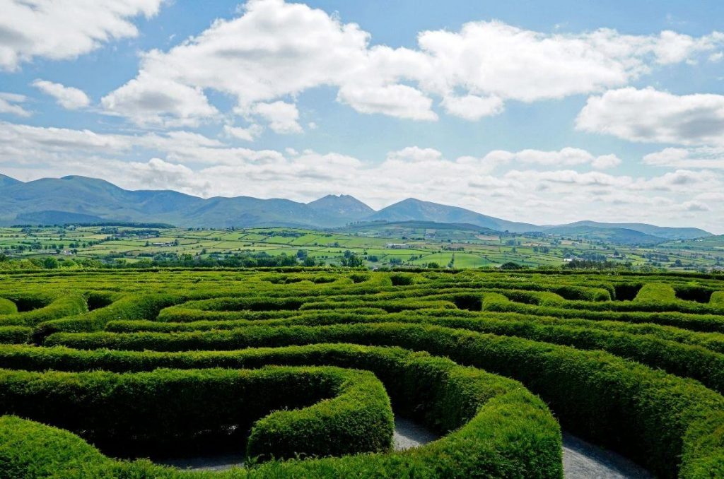 A picture of the hedges of The Peace Maze in Northern Ireland with a the Mourne Mountains in the background