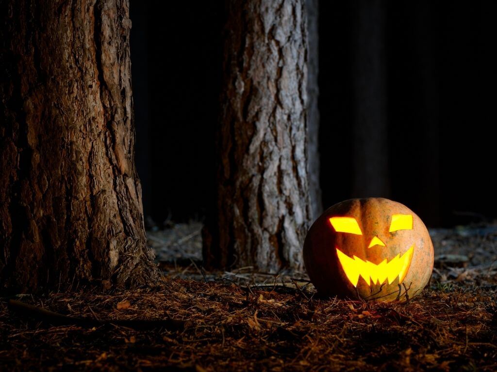 A carved Halloween pumpkin sitting on the ground in a dark forest at night with lit candle inside it