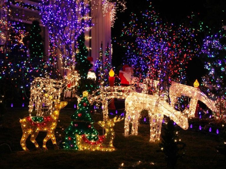Best Places to See Christmas Light Displays in Ireland