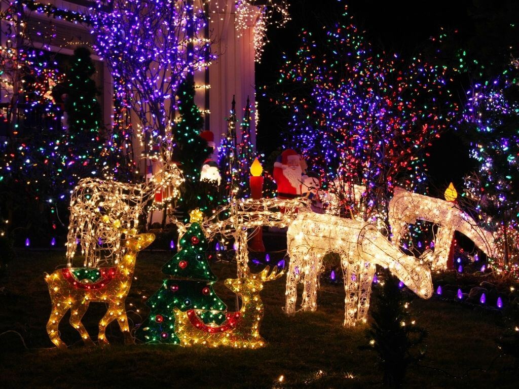 A Christmas lights display of reindeer, trees and more