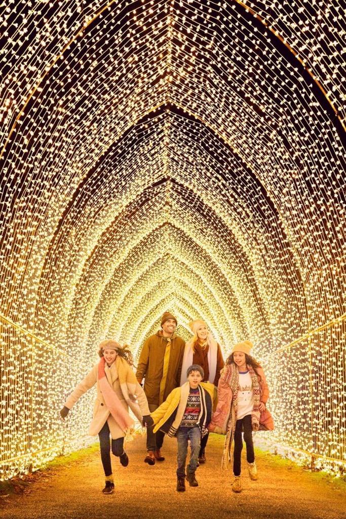 A picture of a family walking through the Christmas light tunnel at Hillsborough Castle
