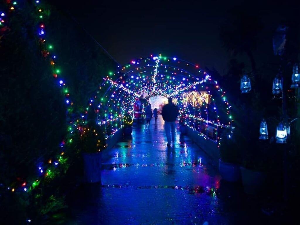 A picture of the Christmas lights tunnel at Kia Ora Farm