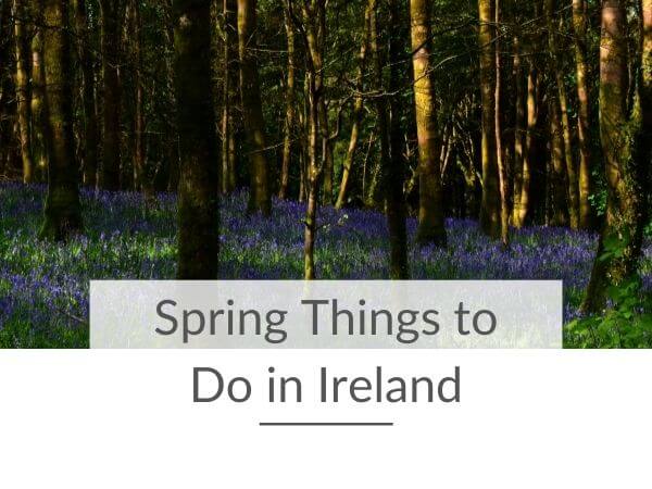 A picture of a bluebell woods with text overlay saying Spring things to do in Ireland