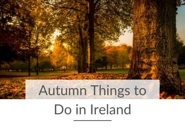 A picture of an autumn scene in a park in Ireland with trees and autumn leaves on the ground, and text overlay saying Autumn Things to Do in Ireland