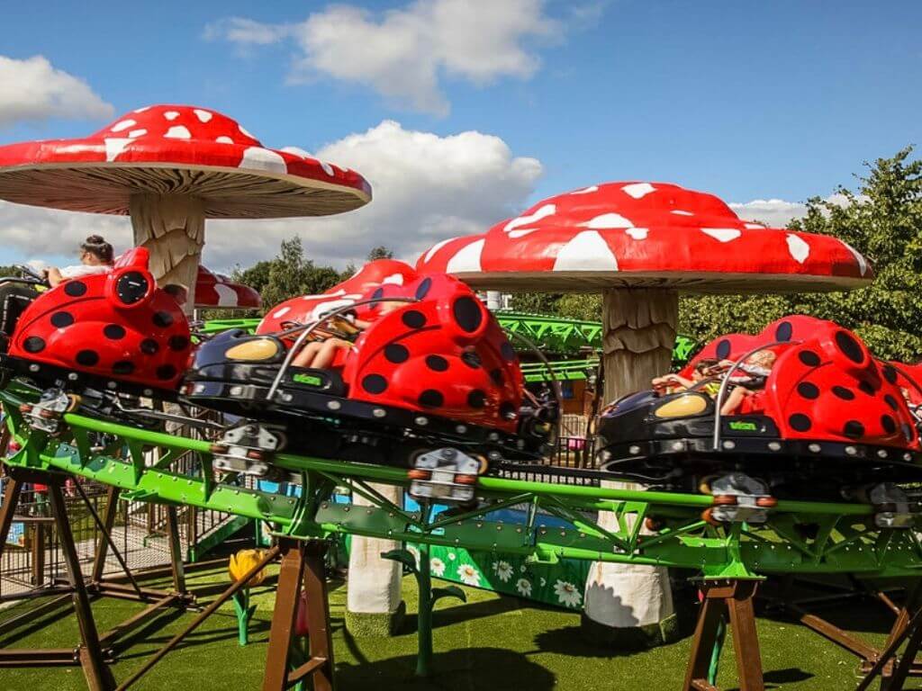 A picture of the colourful Ladybird Loop at Tayto Park, one of the best theme parks in Ireland