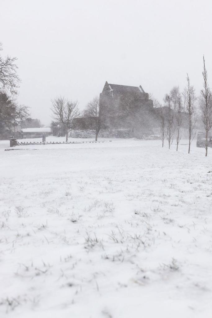 A picture of Athenry Castle in Galway during winter