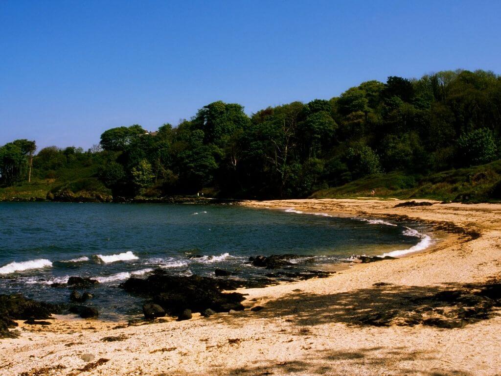 A picture of the beach and some of its rockpools at Crawfordsburn