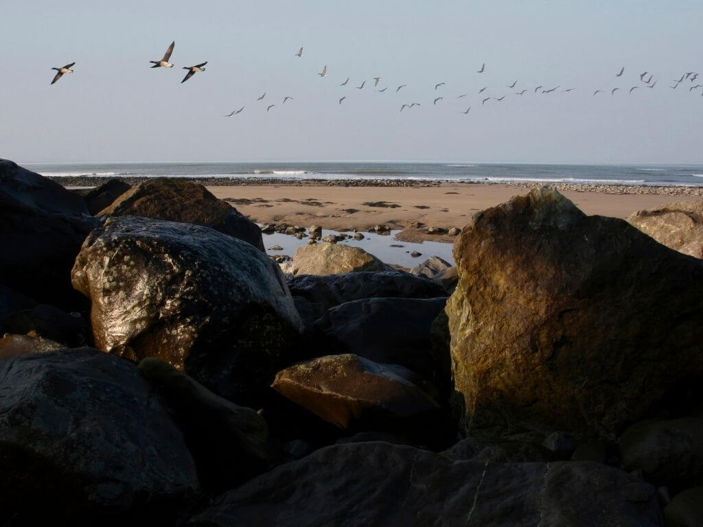 A picture of the beach and rockpools in County Kerry, Ireland