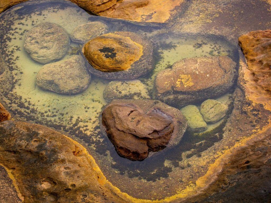 A picture of a rockpool with seaweed inside and moss on the exposed rocks