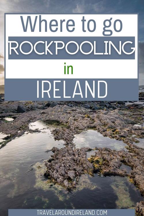 A picture of some exposed rock pools and text overlay saying where to go rockpooling in Ireland
