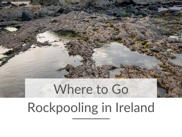 A picture of rockpools at low tide and a text box overlay saying where to go rockpooling in Ireland