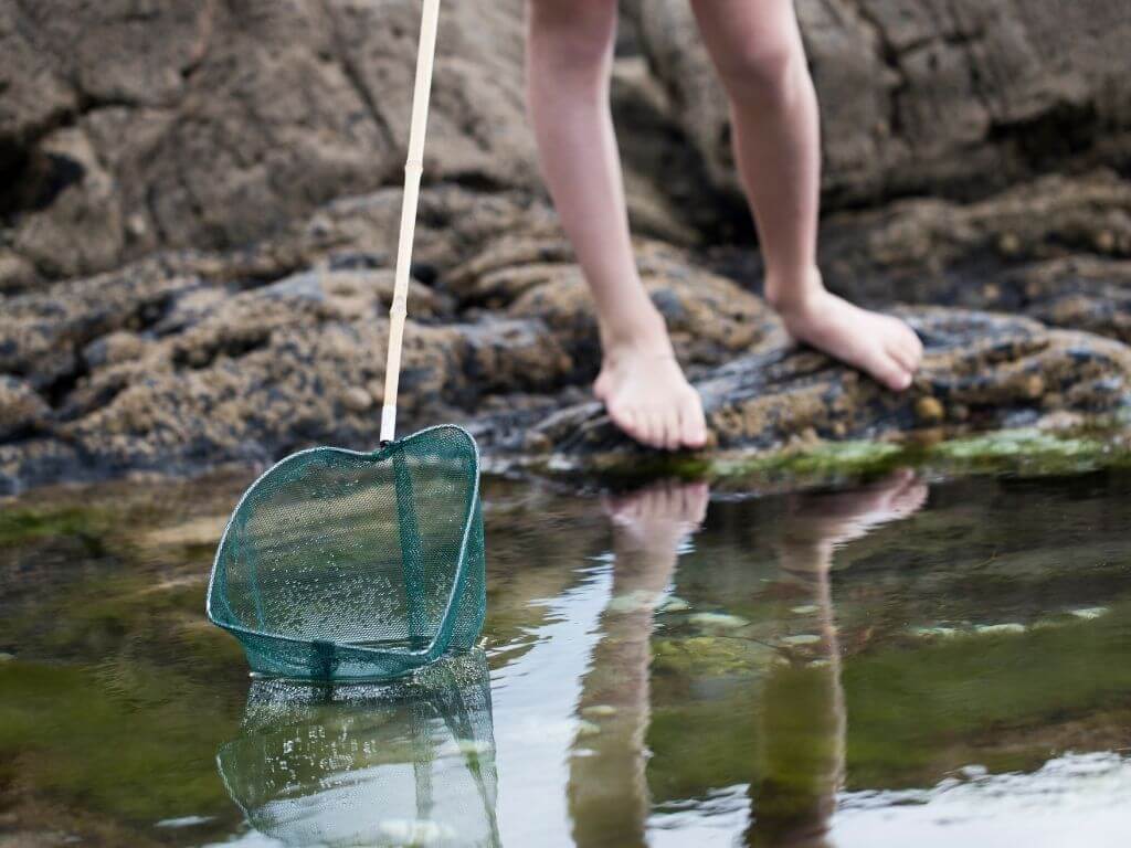 A picture of the legs and feet of a child at a rock pool with a net, fishing in the shallow water