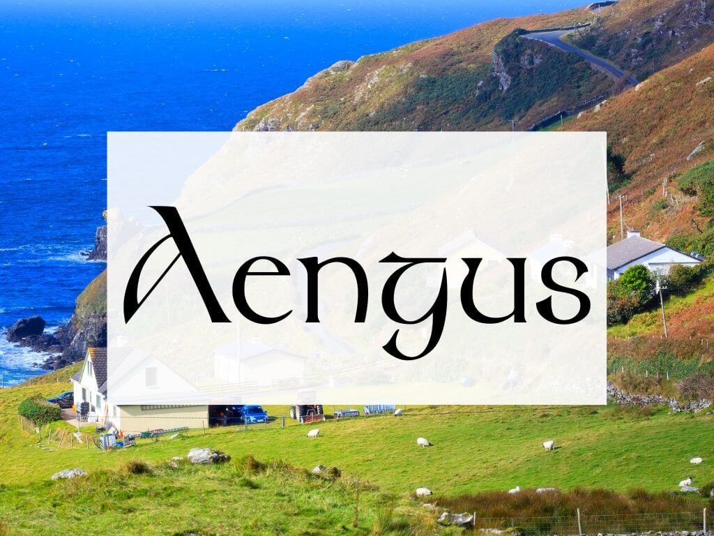 A picture of a green grassy hill with sheep leading to the sea and a textbox containing the name Aengus