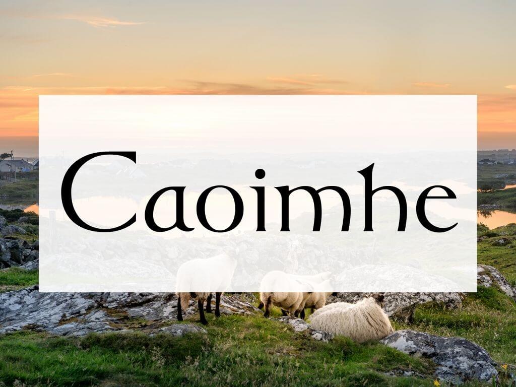 A picture of sheep on a rock Irish hill and sunset in the background, with a textbox containing the Irish name Caoimhe