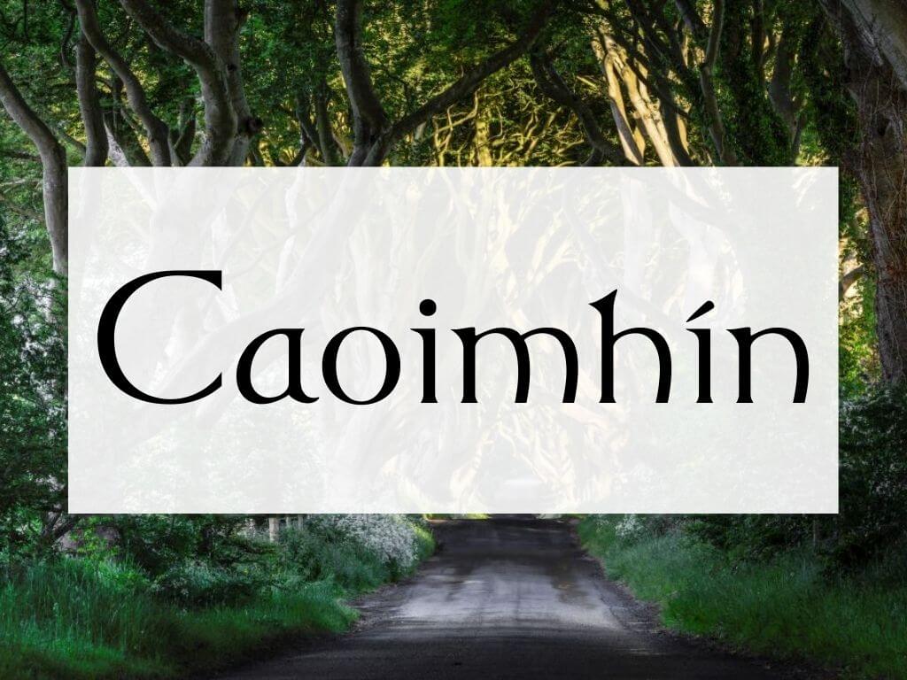A picture of the Dark Hedges and a textbox overlay containing the name Caoimhin