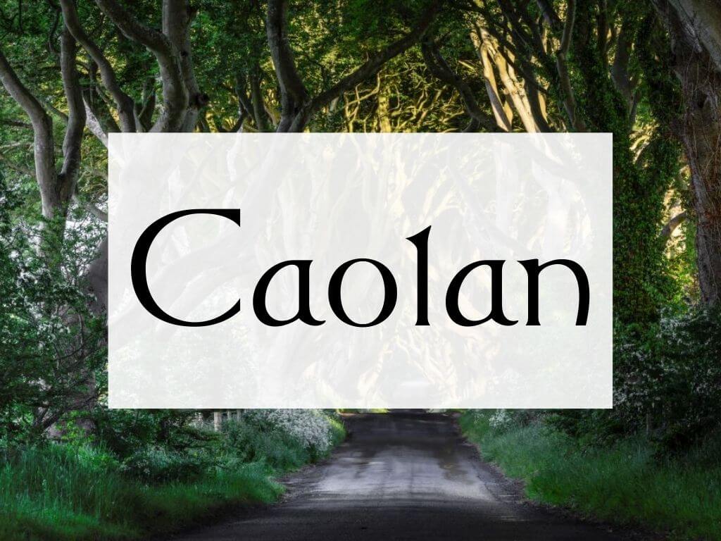 A picture of the Dark Hedges and a textbox overlay containing the name Caolan