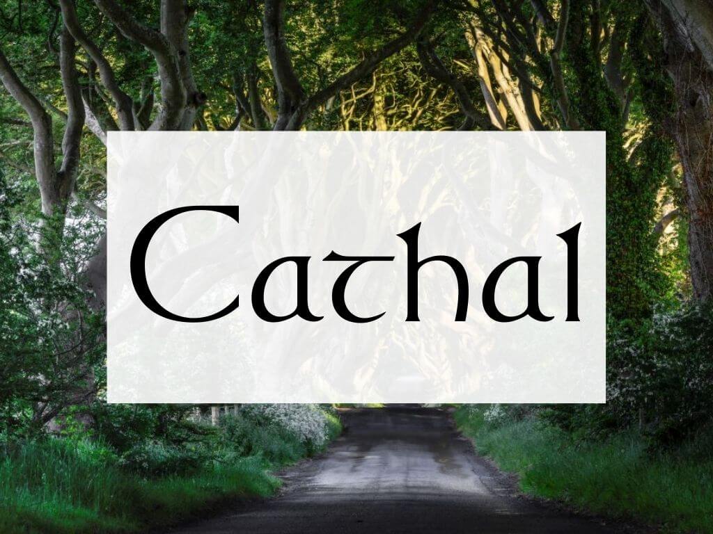 A picture of the Dark Hedges and a textbox overlay containing the name Cathal