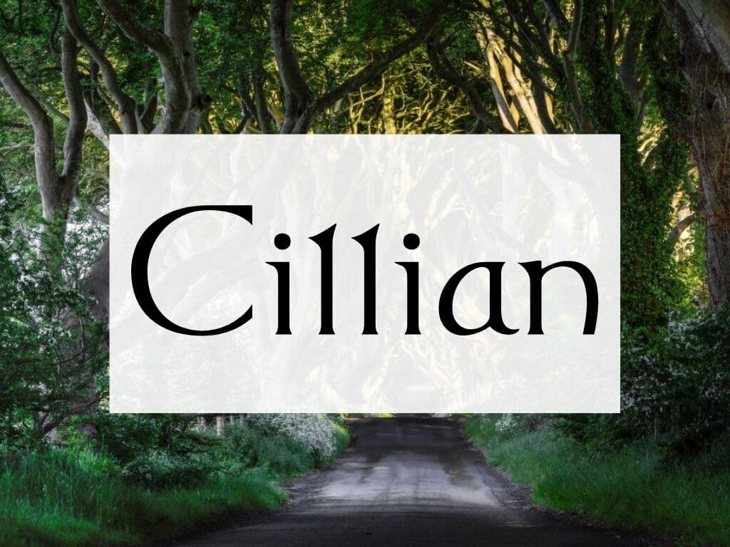 A picture of the Dark Hedges in Northern Ireland and a textbox overlay containing the name Cillian