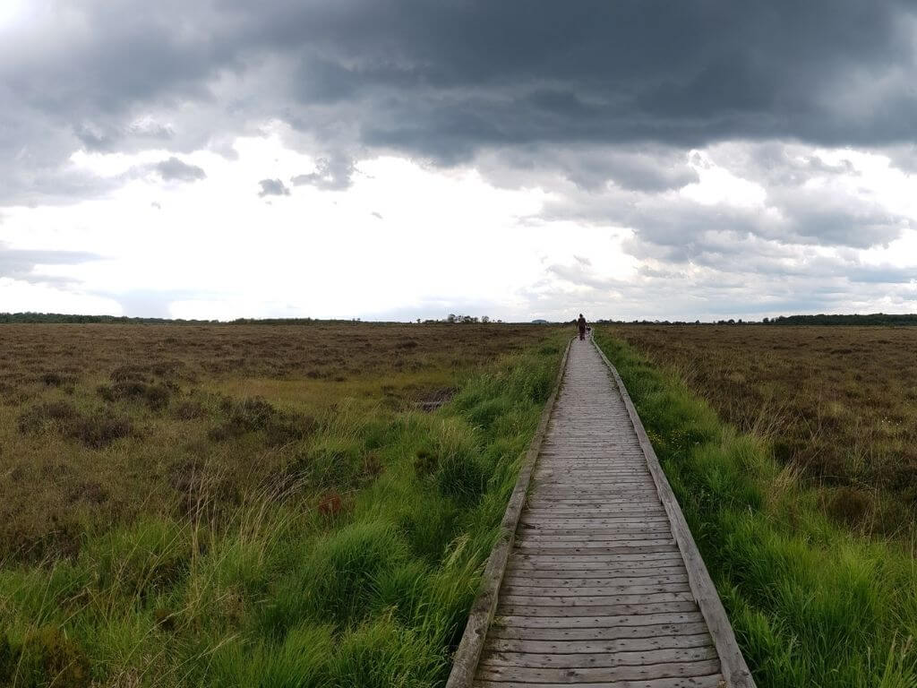 A picture of someone walking along the boardwalk of the Clara Bog, Offaly