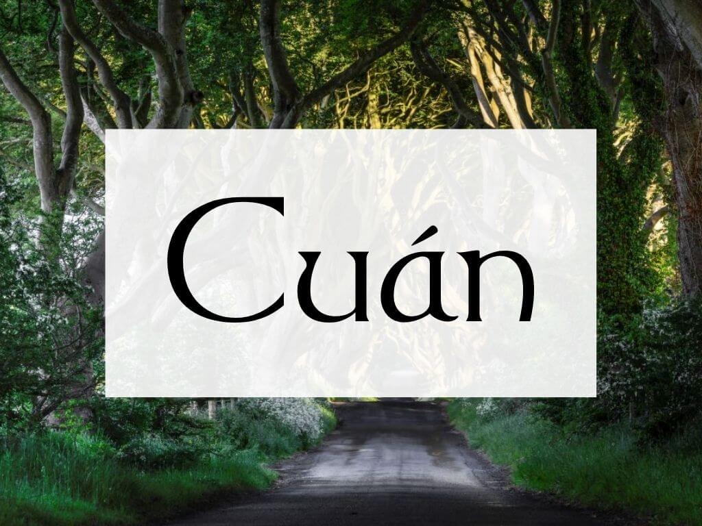 A picture of the Dark Hedges and a textbox overlay containing the name Cuan