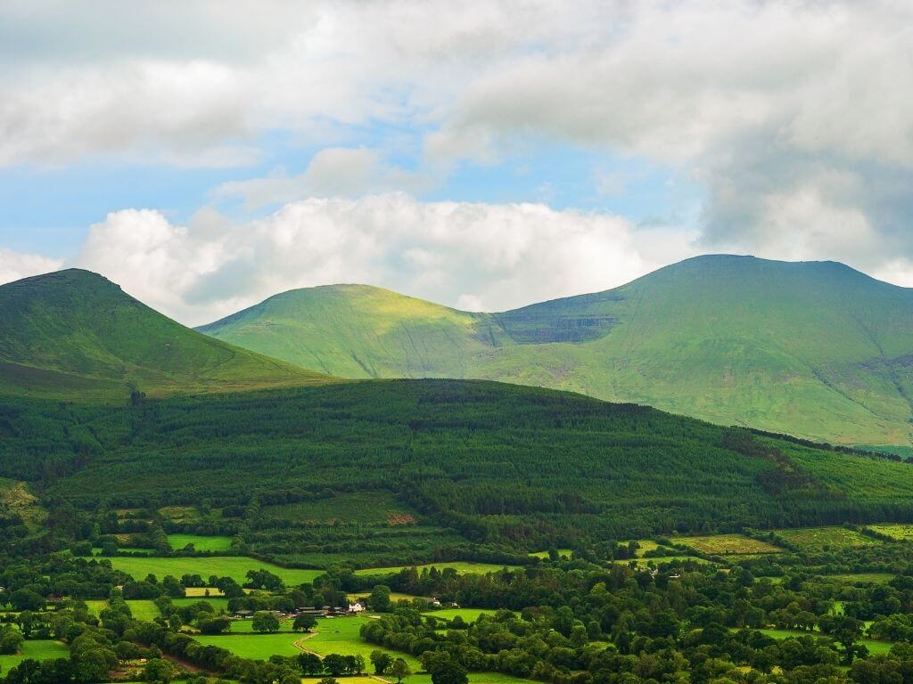 A picture of the Galtee Mountains, Tipperary in the background and woodland and fields in the foreground