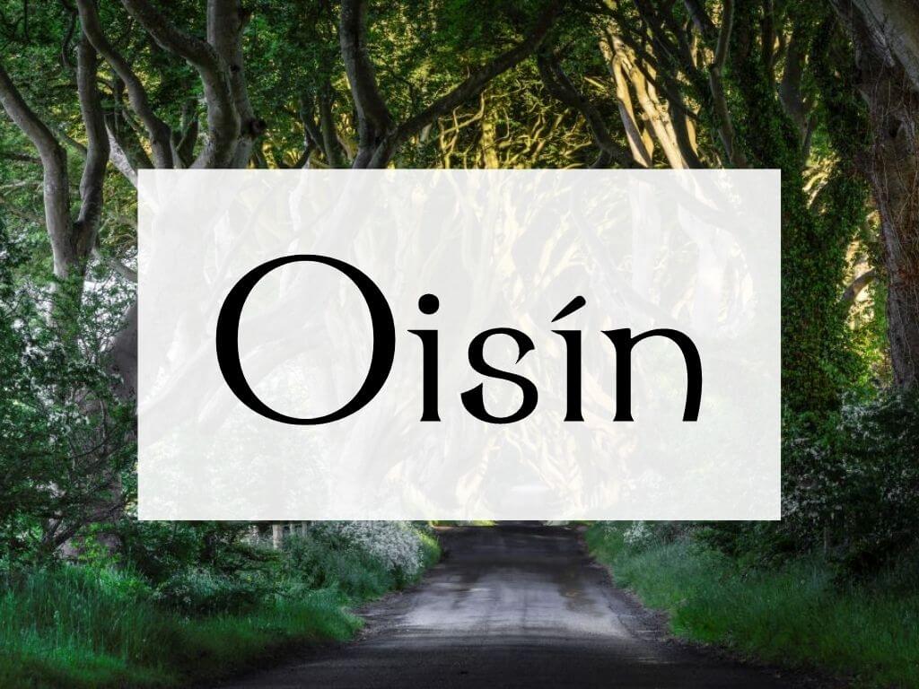 A picture of the Dark Hedges in Northern Ireland and a textbox overlay containing the name Oisin