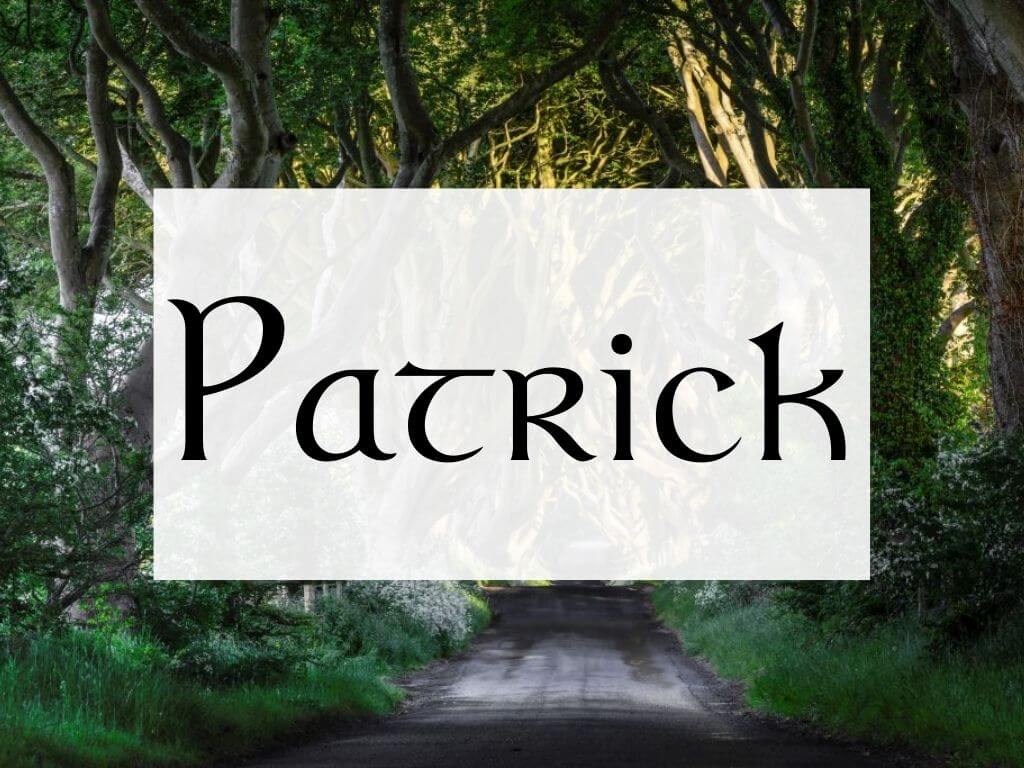 A picture of the Dark Hedges in Northern Ireland and a textbox overlay containing the name Patrick