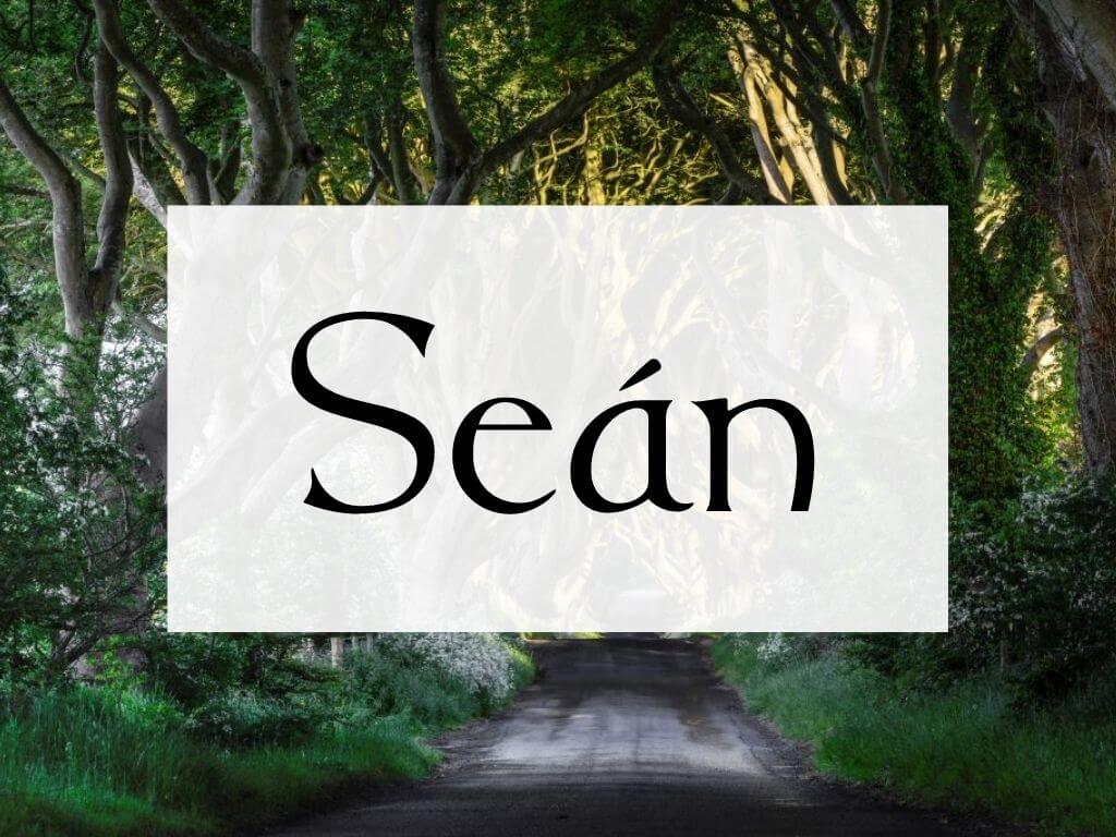 A picture of the Dark Hedges in Northern Ireland and a textbox overlay containing the name Sean