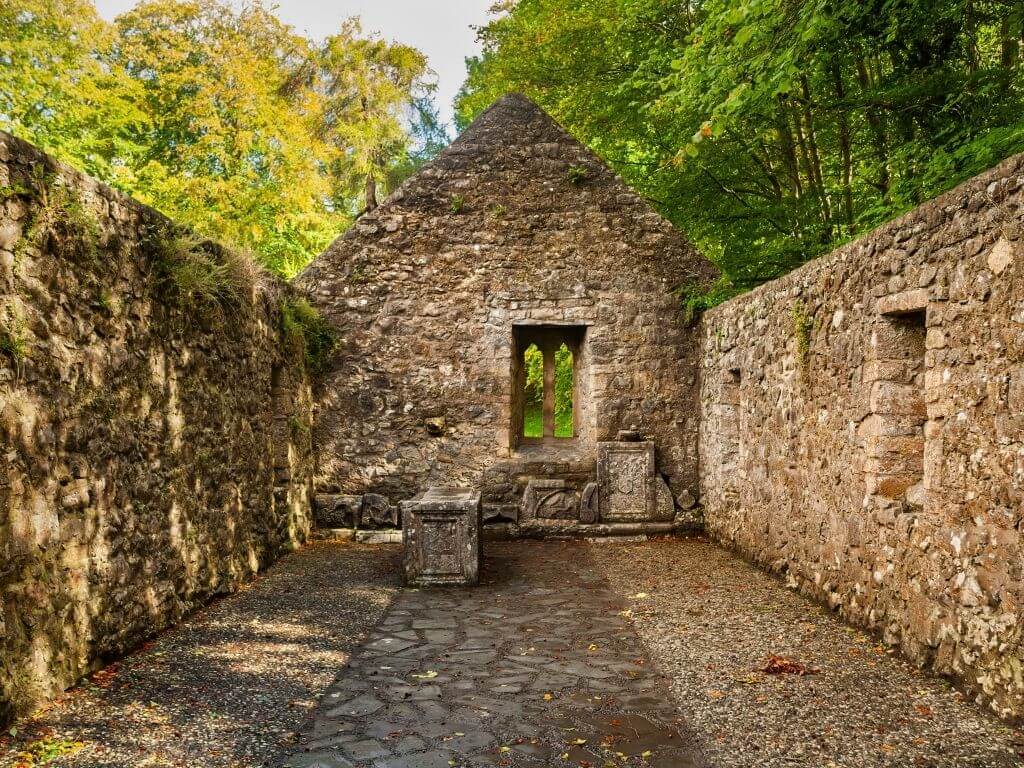 A picture of the ruined church at St Patrick's Well in County Tipperary