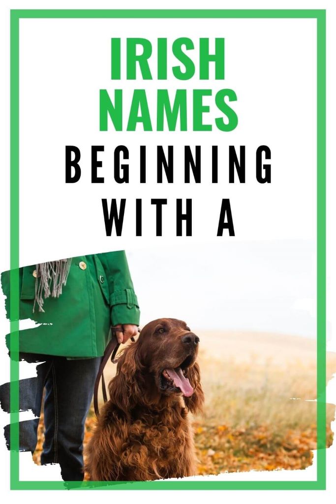 A picture of a lady in a green coat beside an Irish Red Setter dog and text overlay saying Irish names beginning with A