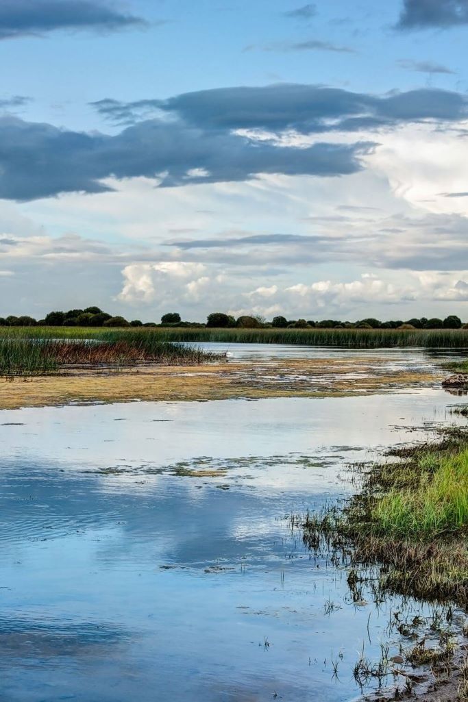 A picture of a stretch of the River Shannon in County Offaly