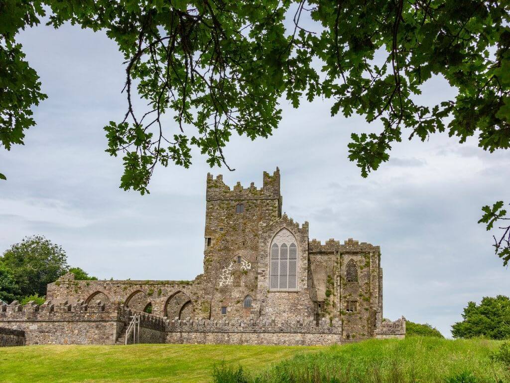 A picture of some of Tintern Abbey, Wexford