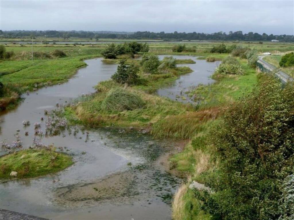 A picture of some of the lakes and grassy banks at the Wexford Wildfowl Reserve