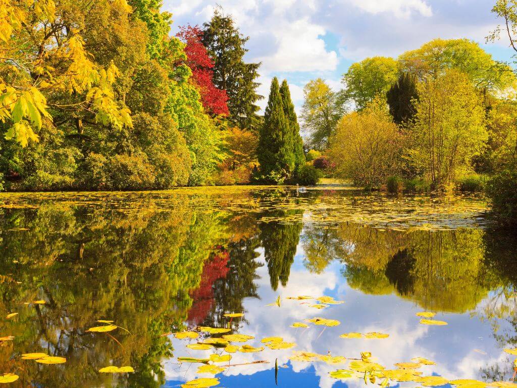 A picture overlooking the lake with changing colours in the trees at Altamont Gardens during autumn